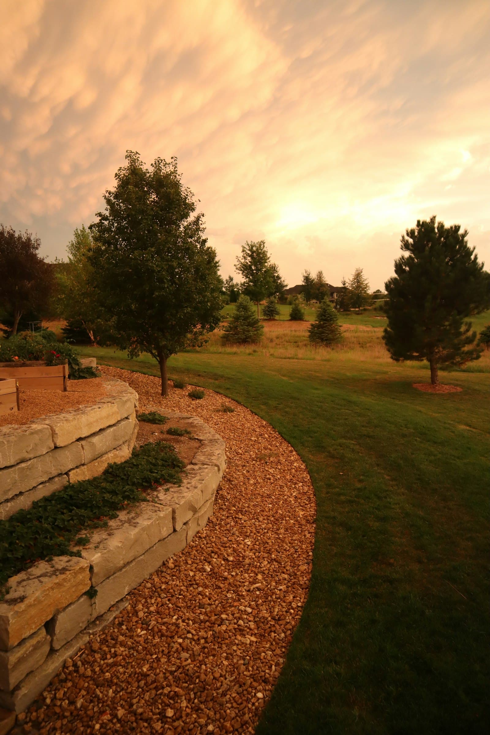 Landscape Design project in San Antonio