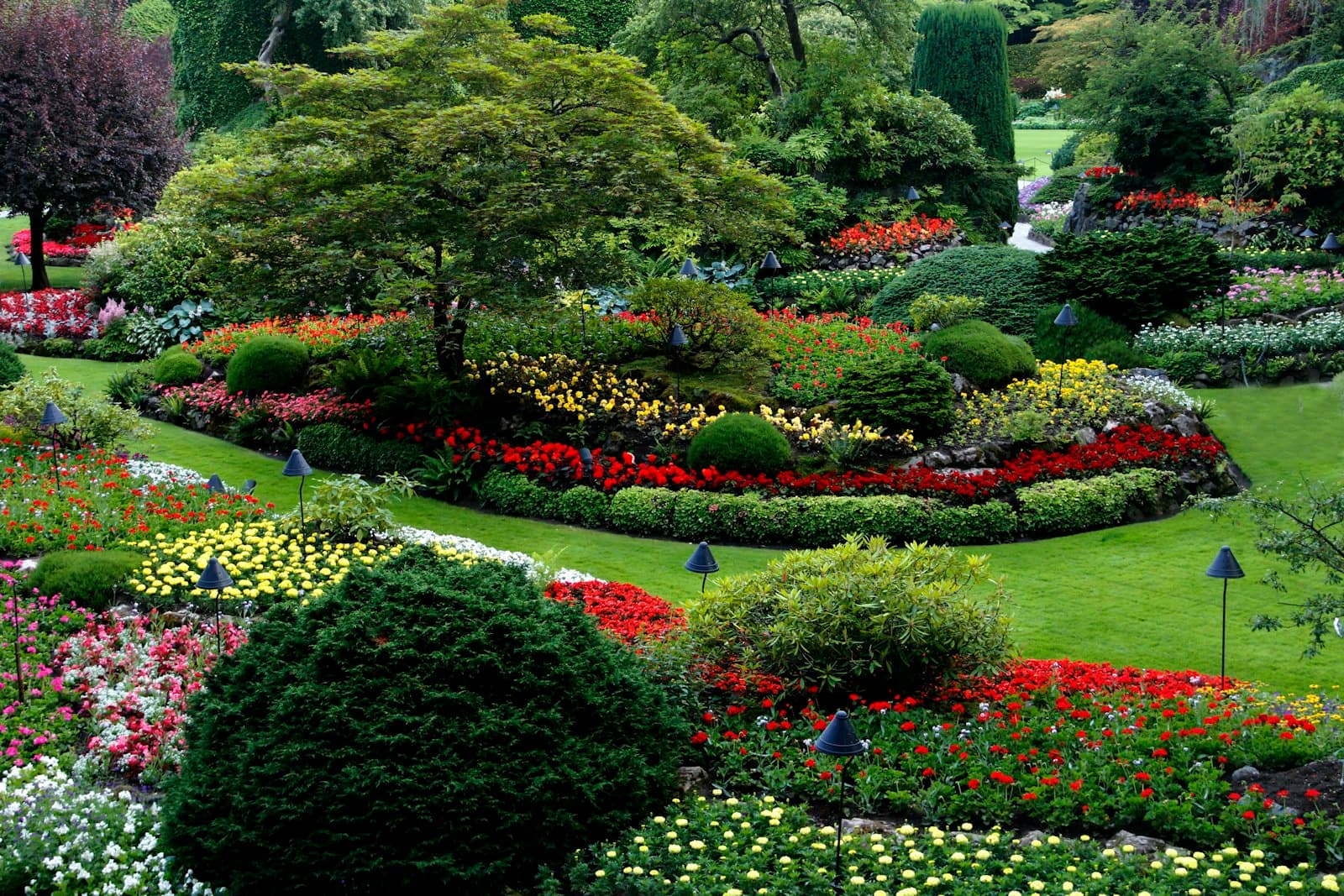 A San Antonio landscape cared for by Ron's SA Landscaping